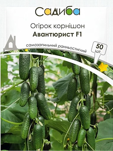 Огірок  АВАНТЮРИСТ F1 50 ШТ SATIMEX