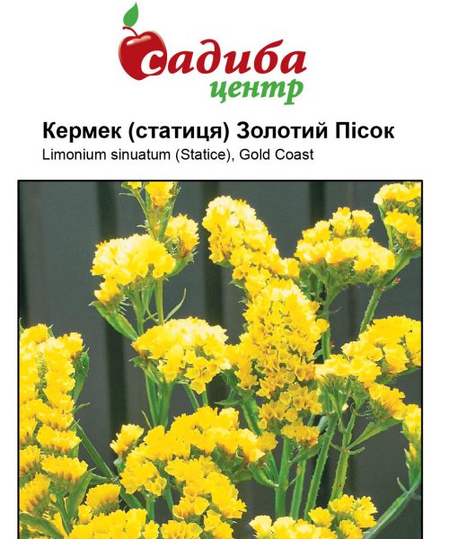 Кермек (статиця) Золотий Пісок 0,1 г